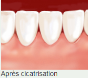 Expert Dental Care